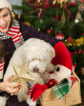 Décorer son sapin de Noël – 2015 - Daphné Moreau
