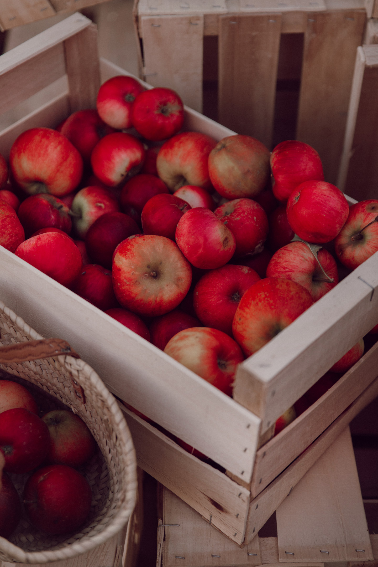 mode-and-the-city-ferme-du-logis-tradition-automne-5