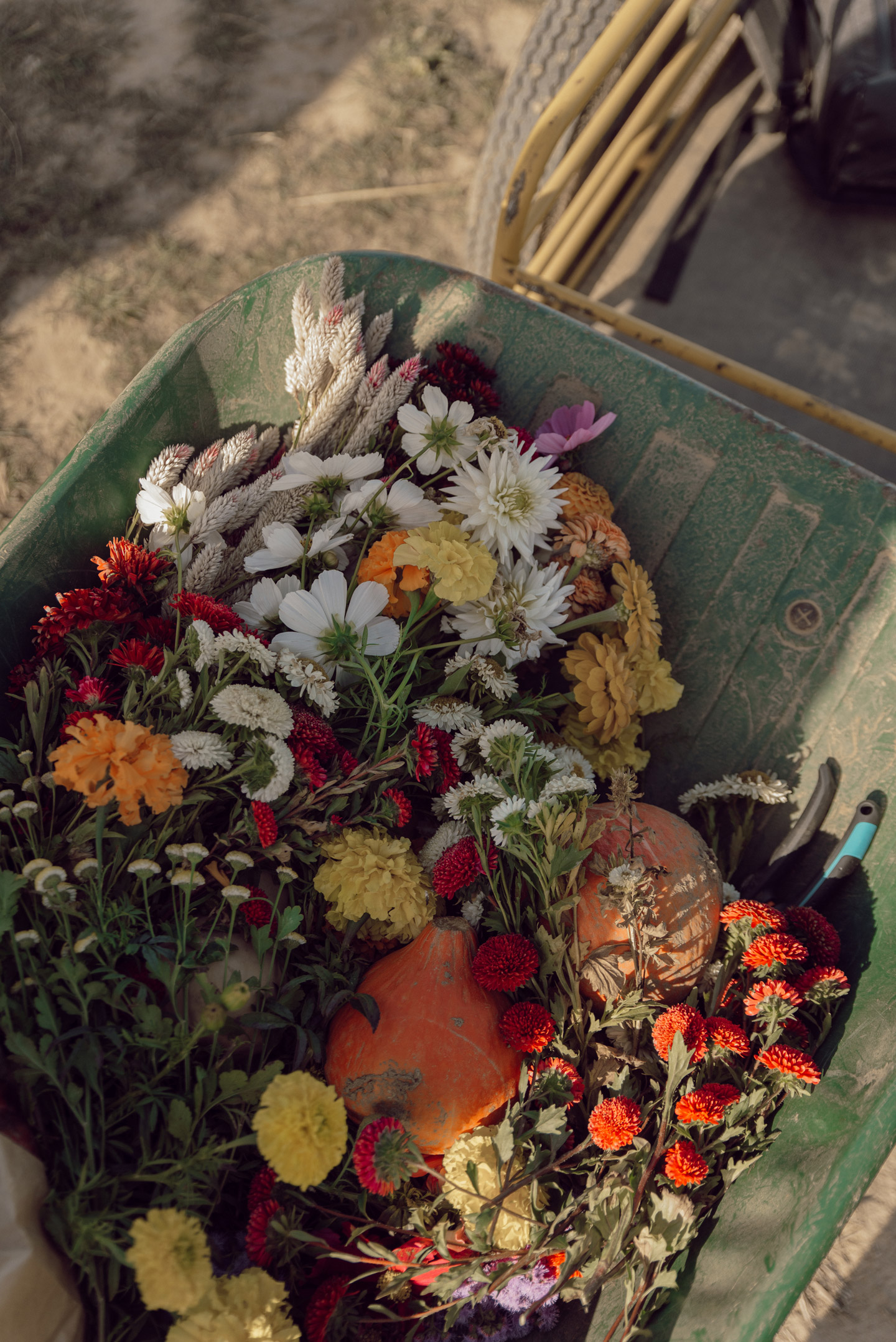 mode-and-the-city-ferme-du-logis-tradition-automne-14