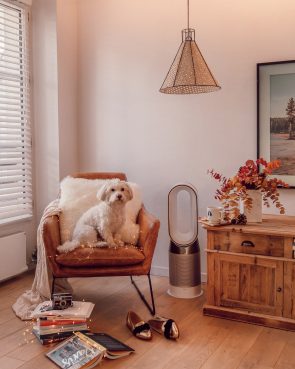 Vous n&rsquo;imaginez pas à quel point l&rsquo;air de votre intérieur est pollué ! - Daphné Moreau