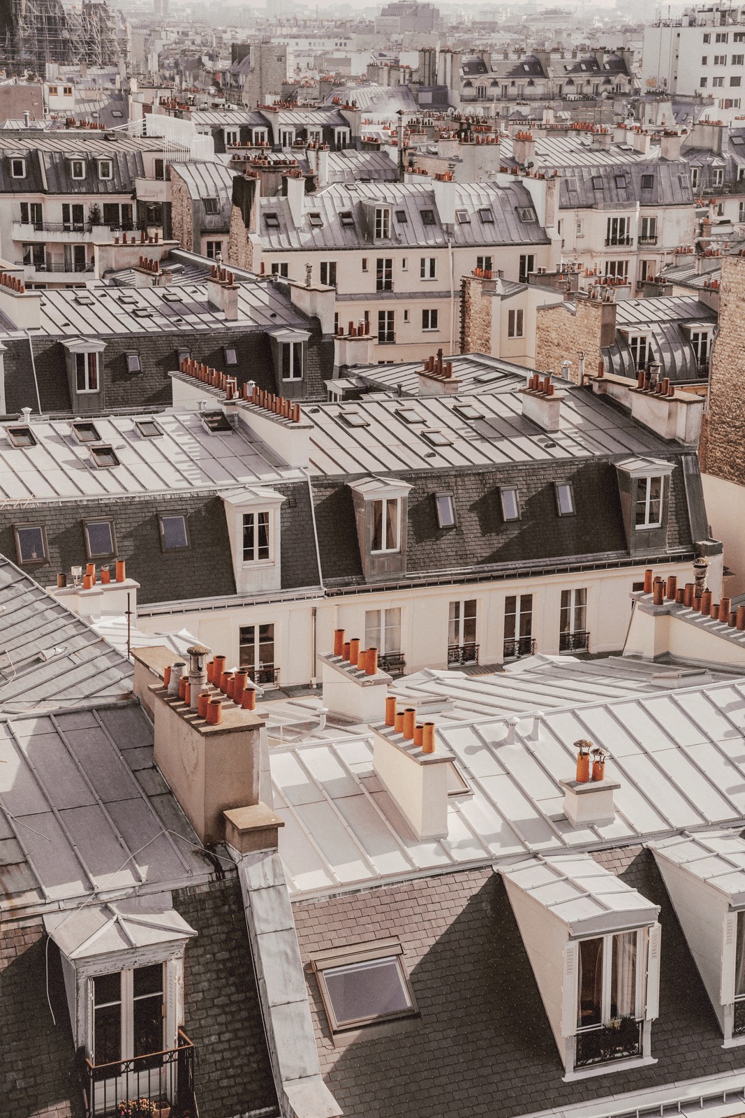 Toits-de-paris-daphne-moreau
